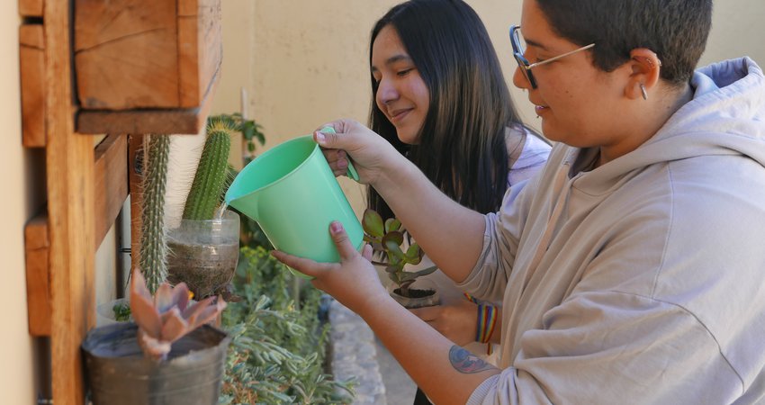 2. Ecoamigos