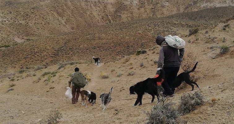 Misioneros salesianos Patagonia